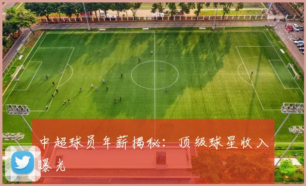 中超球员年薪揭秘:顶级球星收入曝光
