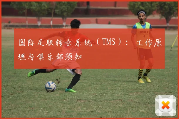 国际足联转会系统(TMS):工作原理与俱乐部须知