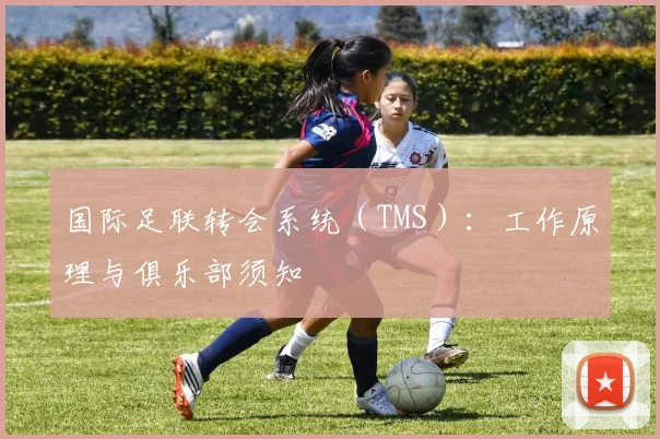 国际足联转会系统(TMS):工作原理与俱乐部须知