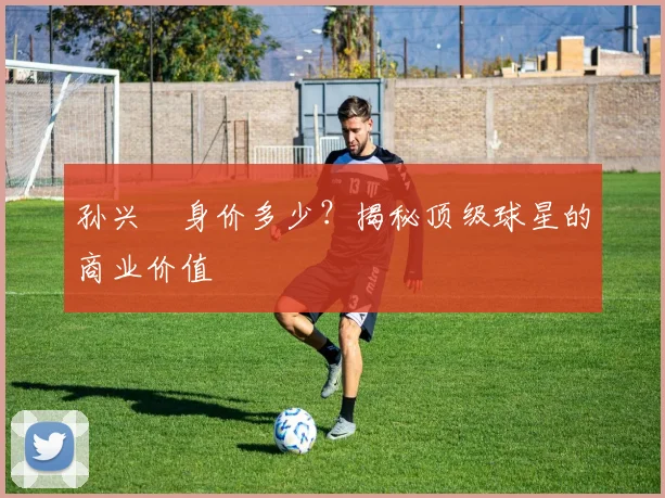 孙兴慜身价多少?揭秘顶级球星的商业价值