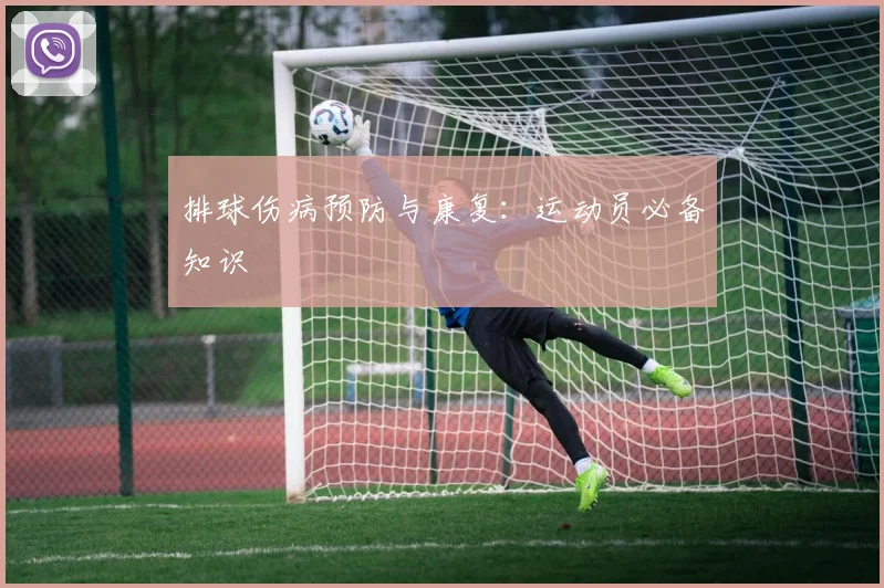 排球伤病预防与康复：运动员必备知识