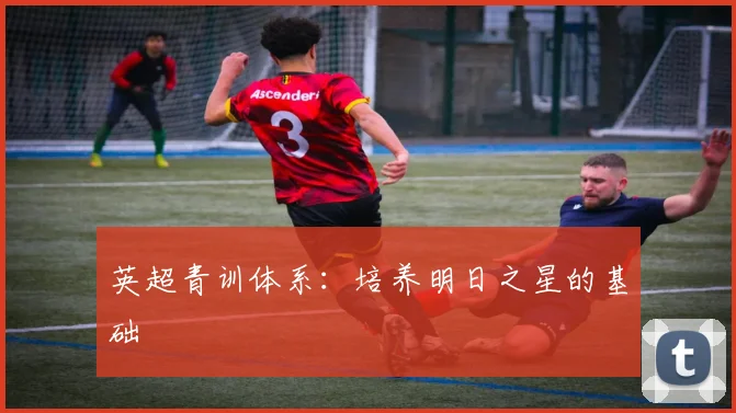 英超青训体系：培养明日之星的基础